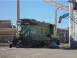 CRGX 6008 Behind Sunny Afternoon